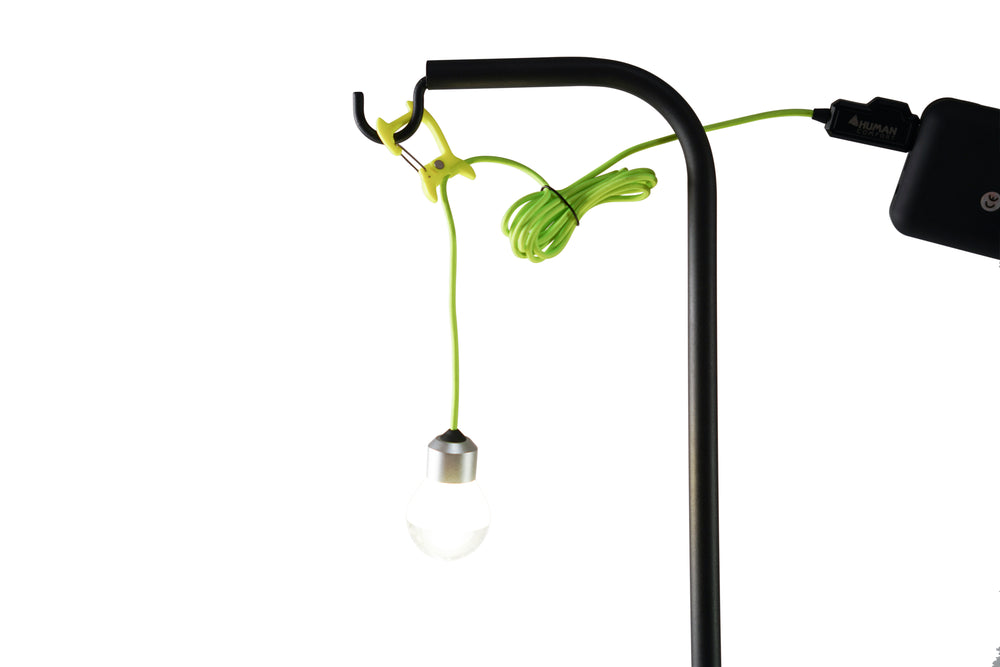 Lamp Bolly