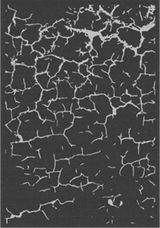 Luxe Outdoor Carpet Avord