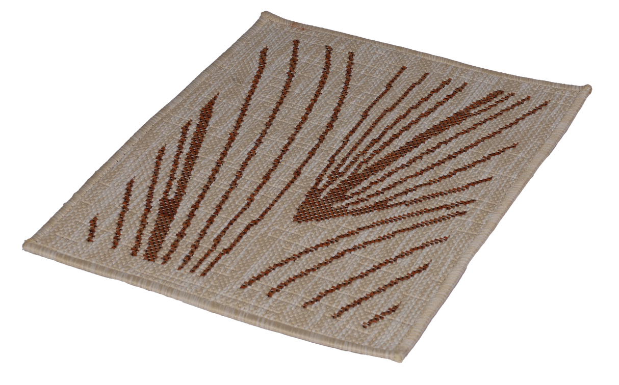 Polypropylene Doormat Carros Terra 40 x 50 cm